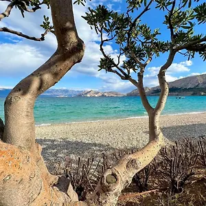 Art Jurandvor , Baška Kroatien